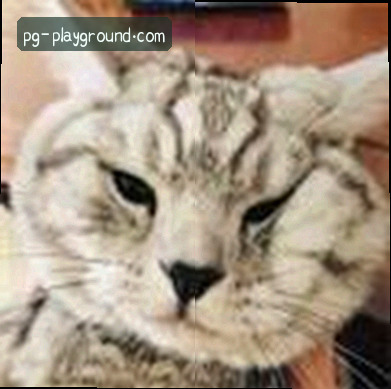 小张